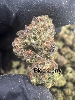 Blockberry Exotic (Hybrid) Top Shelf Flower 5 Grams