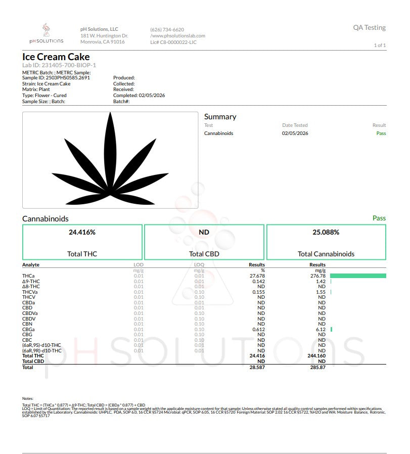 Ice Cream Cake Smalls