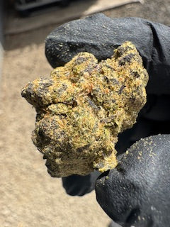 Wholesale Flower by the QP Permanent Grape