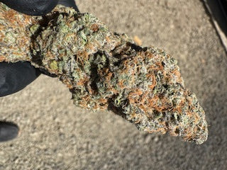Wholesale Flower by the QP Dogillato