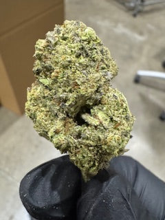 Wholesale Flower by the QP JET FUEL