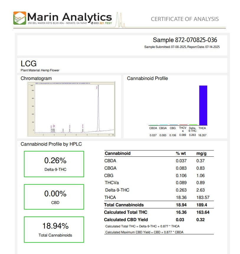 Wholesale Flower by the QP Hybrid