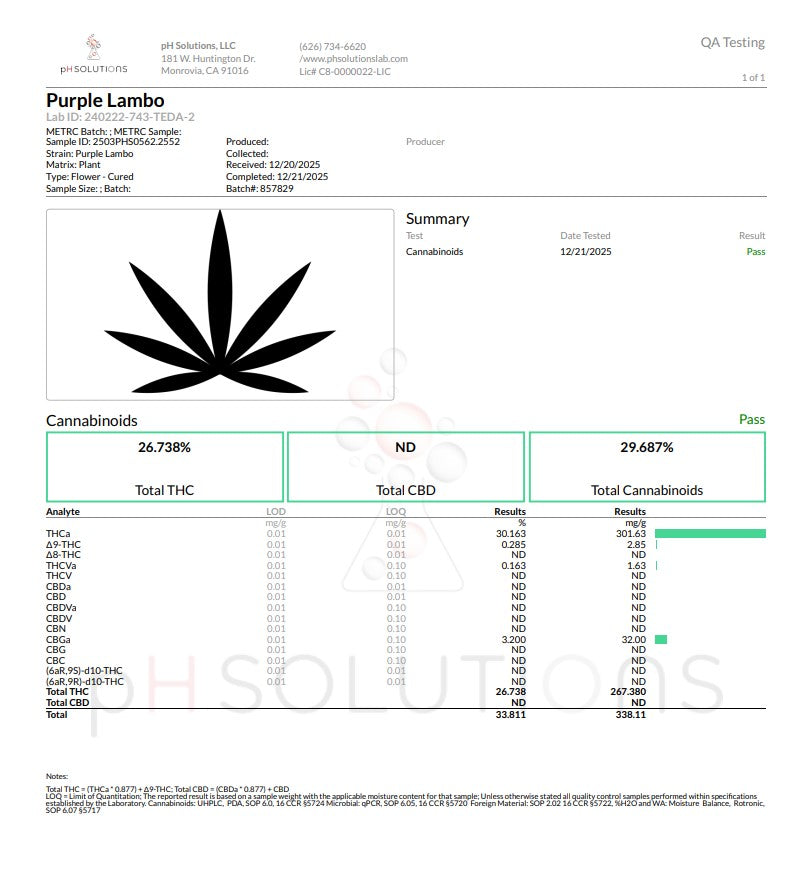 PURPLE LAMBO "Rare" Exotic Hemp Flower QP