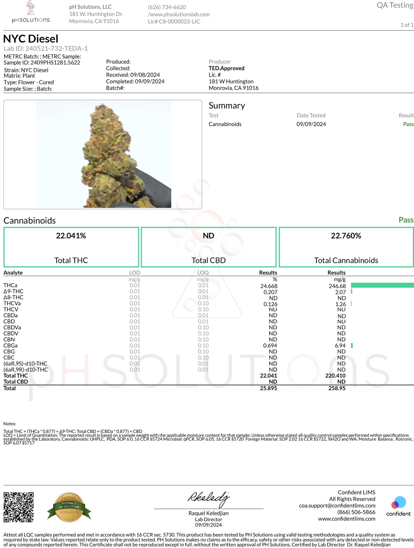 Gifted - THC-A Pre-Rolls 50ct - NYC Diesel (Hybrid)