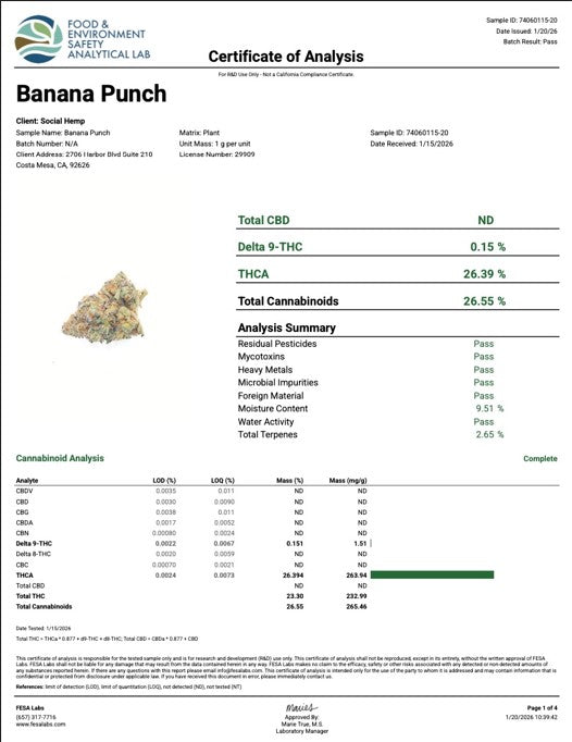 Banana Punch Hemp Flower by the QP