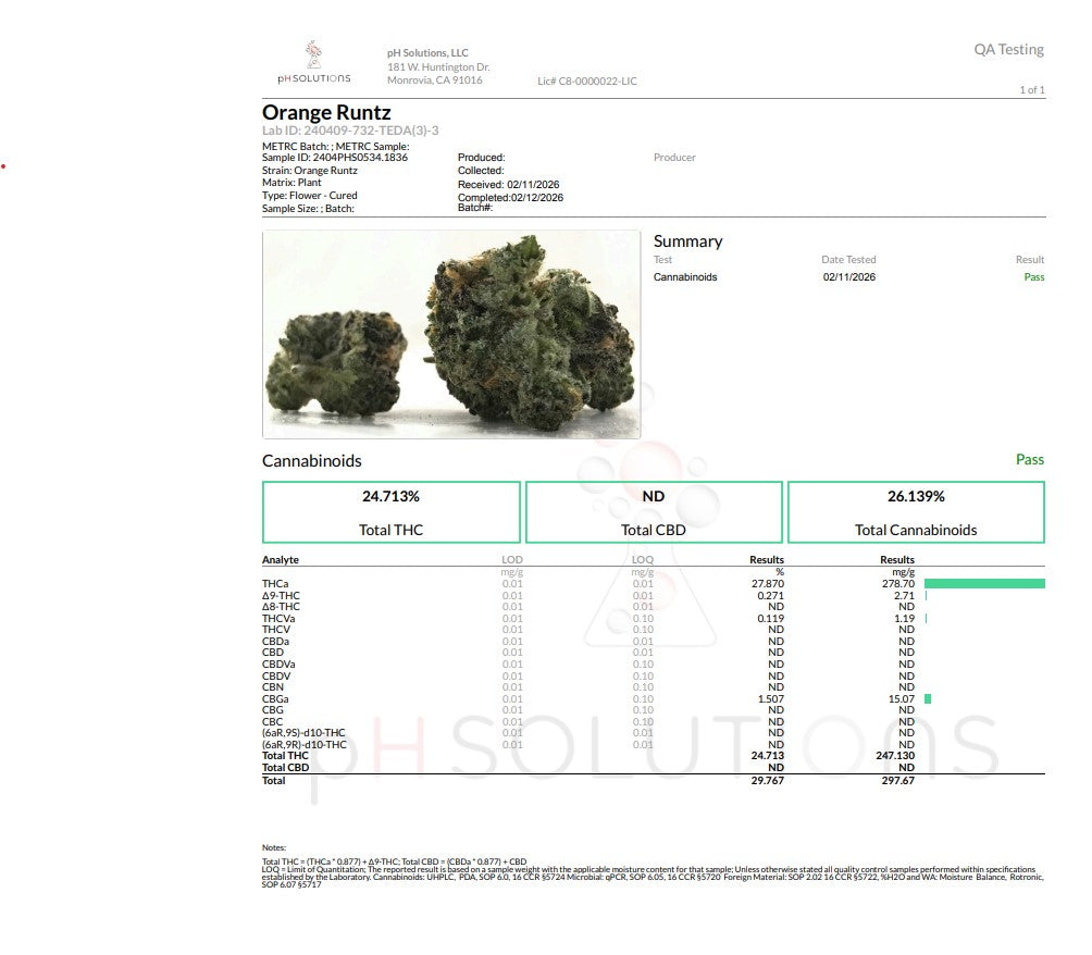 Orange Runtz Exotic Hemp Flower by the QP