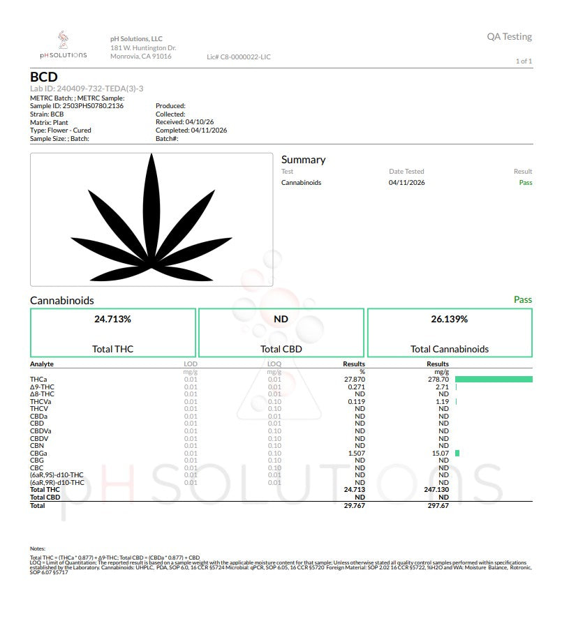 BCD Premium Hemp Flower by the QP