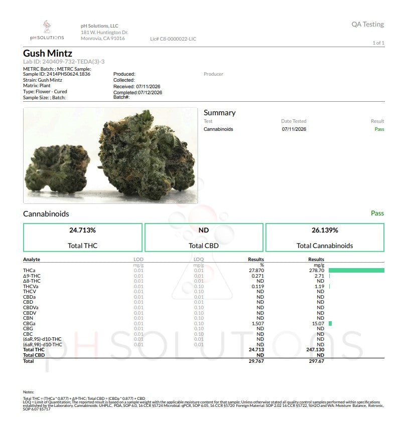GUSH MINTZ Hydro Farm Super Premium Hemp Flower by the QP