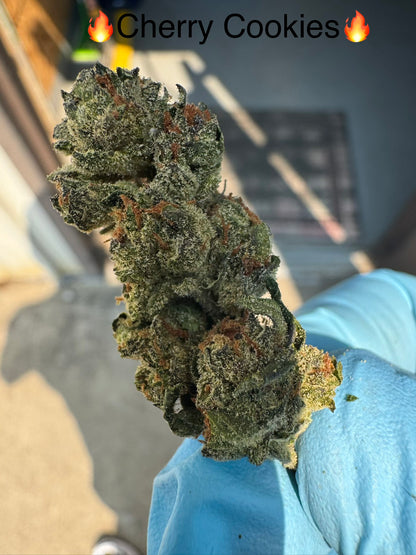 Fresh Harvest Cherry Cookies Hemp Flower by the QP