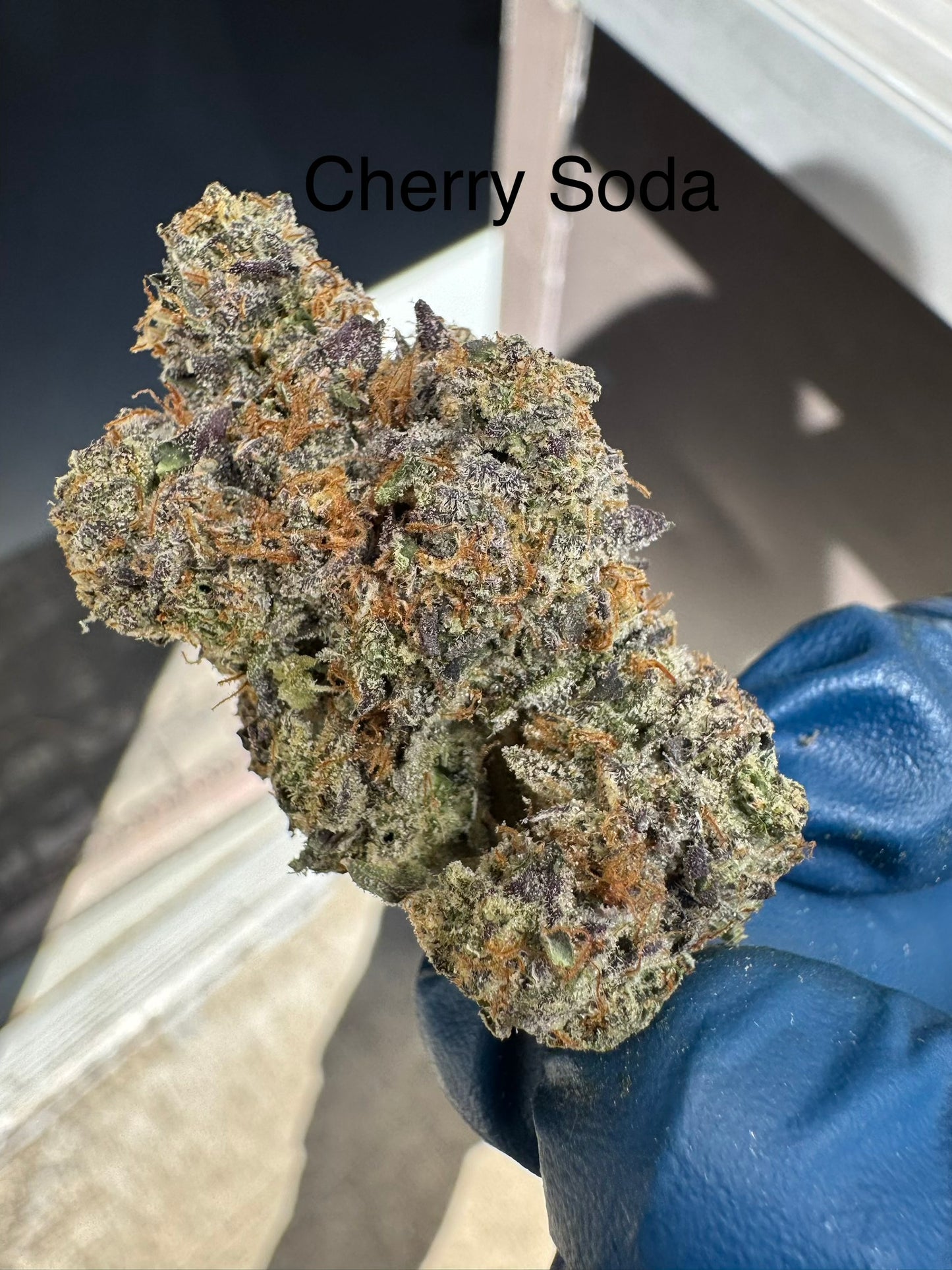 Cherry Soda Exotic Hemp Flower by the QP