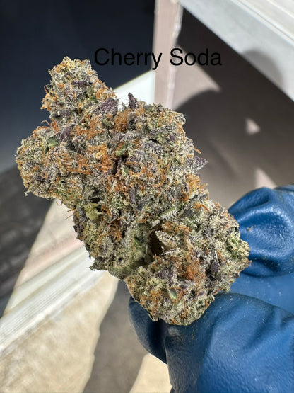 Cherry Soda Exotic Hemp Flower by the QP
