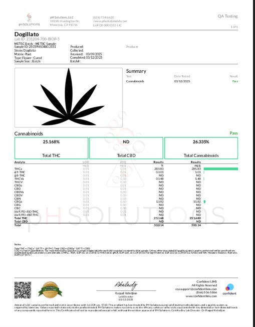 Wholesale Flower by the QP Dogillato