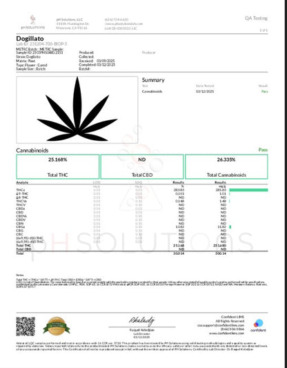 Wholesale Flower by the QP Dogillato