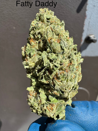Fatty Daddy Big Hemp Flower by the QP
