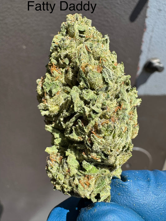 Fatty Daddy Big Hemp Flower by the QP