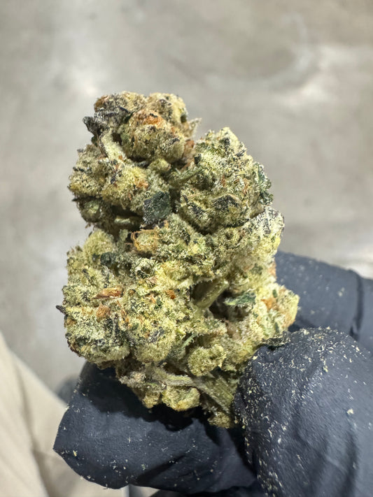 GG#4 Top Shelf Flower 5 grams