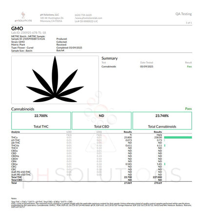 Wholesale Flower by the QP GMO