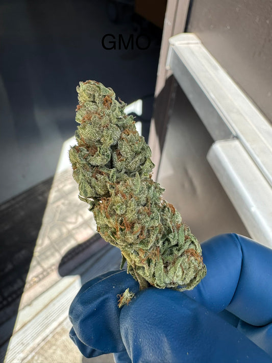 Fresh Harvest GMO Hemp Flower by the QP