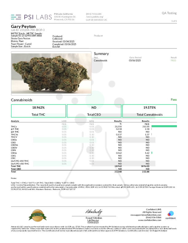 Wholesale Flower by Weight - Variety Pack (2lbs total)