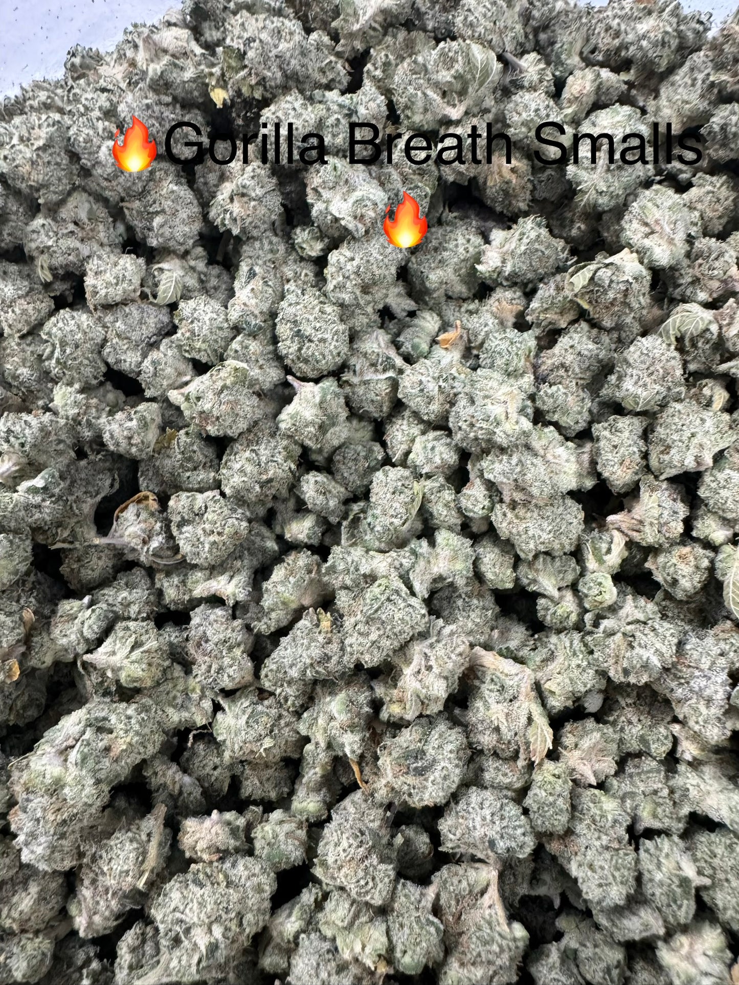 Gorilla Breath Smalls Exotic Hemp Flower by the QP