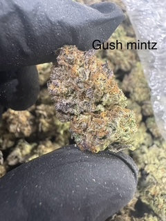 GUSH MINTZ (Indica/hybrid) Top Shelf Flower 5 Grams