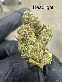 Headlight (Sativa) Top Shelf Flower 5 Grams