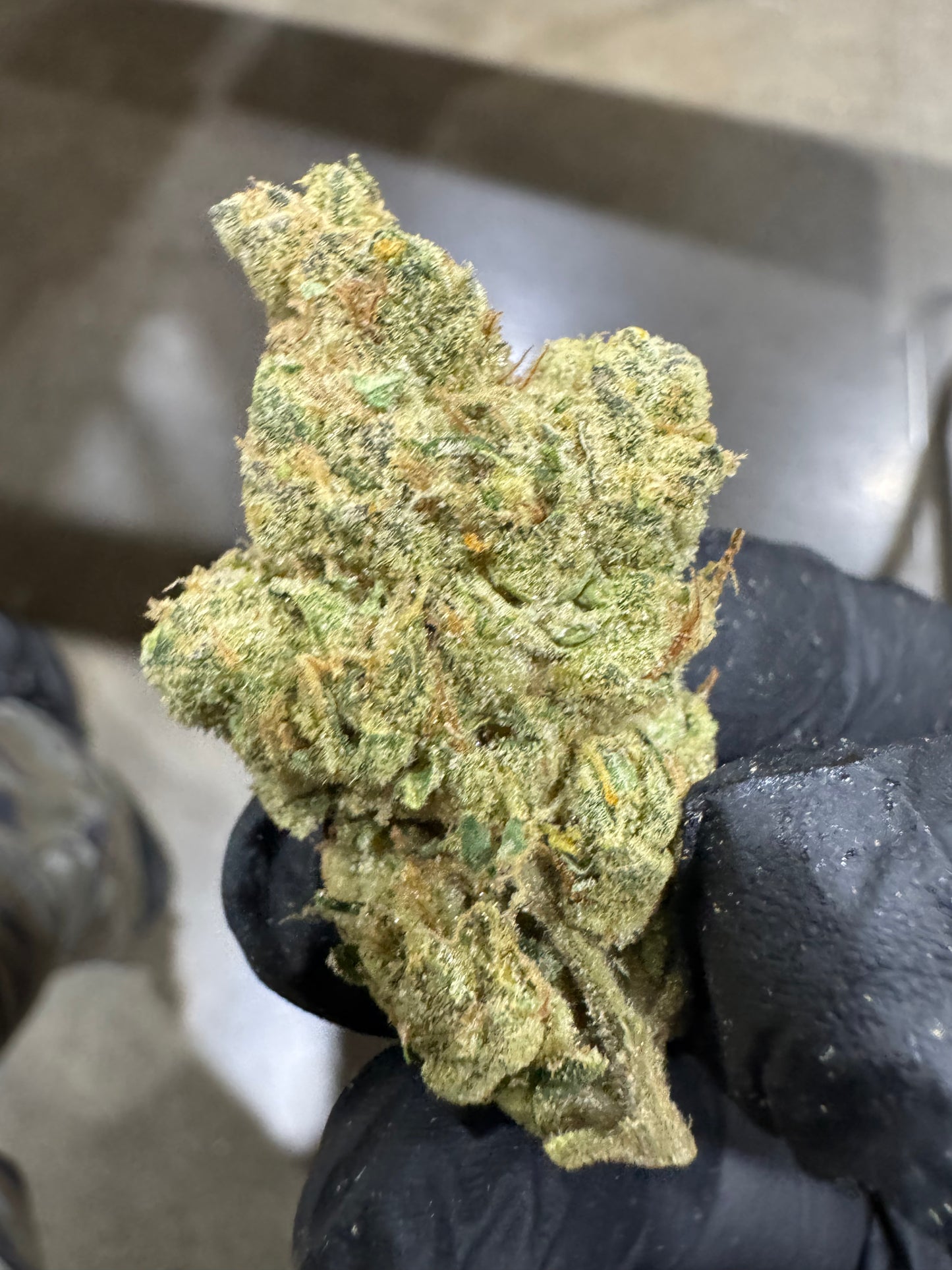 Wholesale Flower by Weight - Sativa
