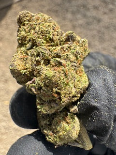 Wholesale Flower by Weight - Candy Gas (Hybrid)