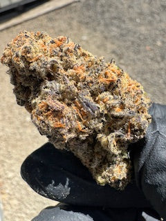 Wholesale Flower by the QP LEMON CHERRY GELATO