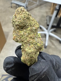 Wholesale Flower by the QP Dogillato