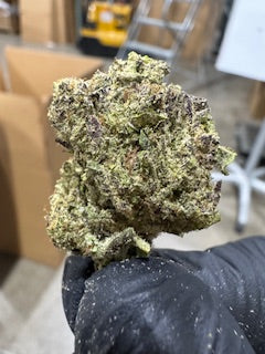 Wholesale Flower by the QP SHERBET GELATO