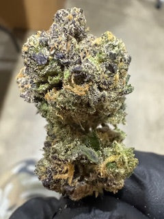 Wholesale Flower by the QP LEMON CHERRY BUBBLE GUM