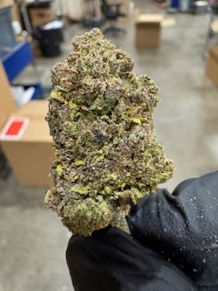 Wholesale flower by the QP GUSH MINTZ