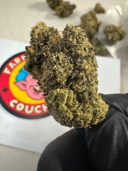 Sour Brulee CBD Hemp Flower by the QP