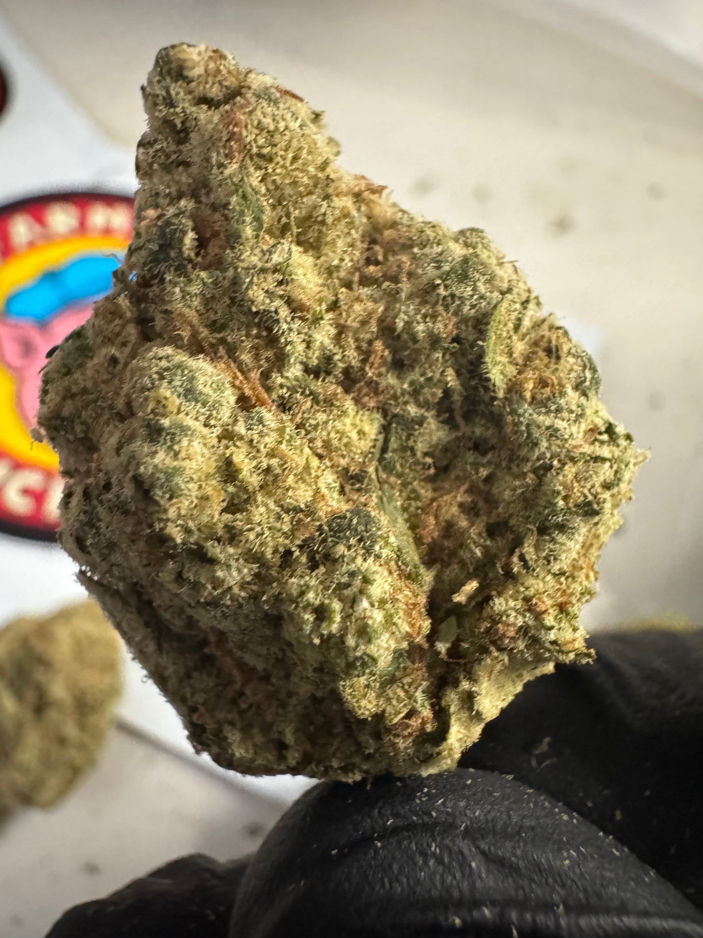 Pave Hemp Flower by The QP