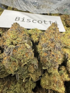 Biscotti Sherbet Exotic (Hybrid) Top Shelf Flower 5 Grams