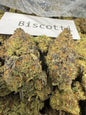 Biscotti Sherbet Exotic (Hybrid) Top Shelf Flower 5 Grams