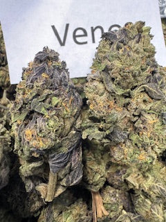 Venom (Hybrid) Top Shelf Flower by the QP