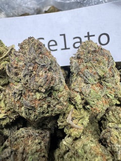 SHERBET GELATO (Hybrid) Top Shelf Flower 5 Gram