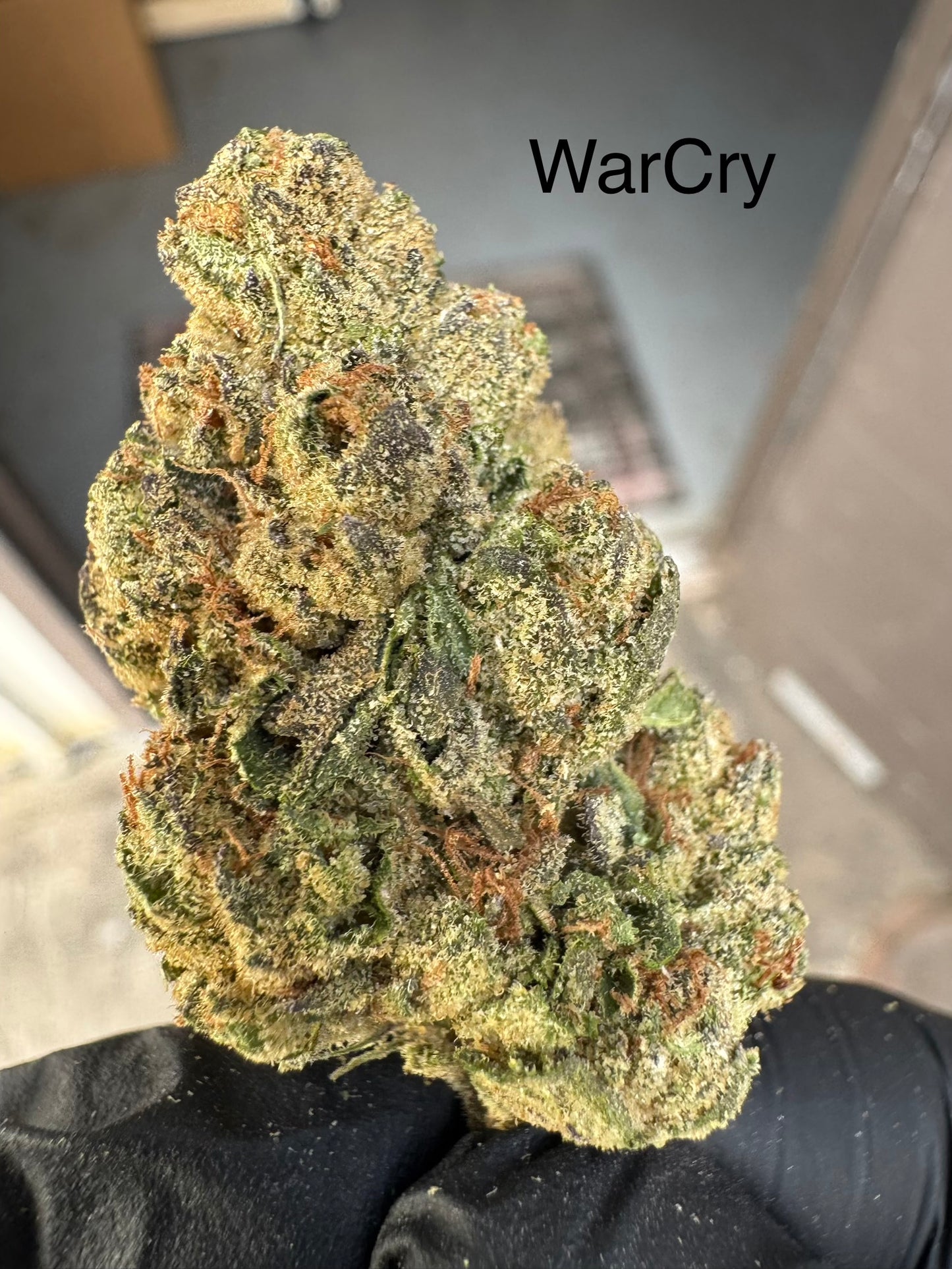 War Cry top shelf Hemp Flower QP