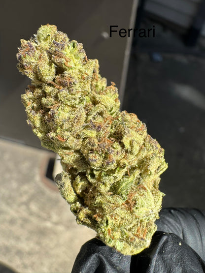 Fresh Harvest Ferrari Premium Hemp Flower by the QP