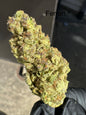 Fresh Harvest Ferrari Premium Hemp Flower by the QP