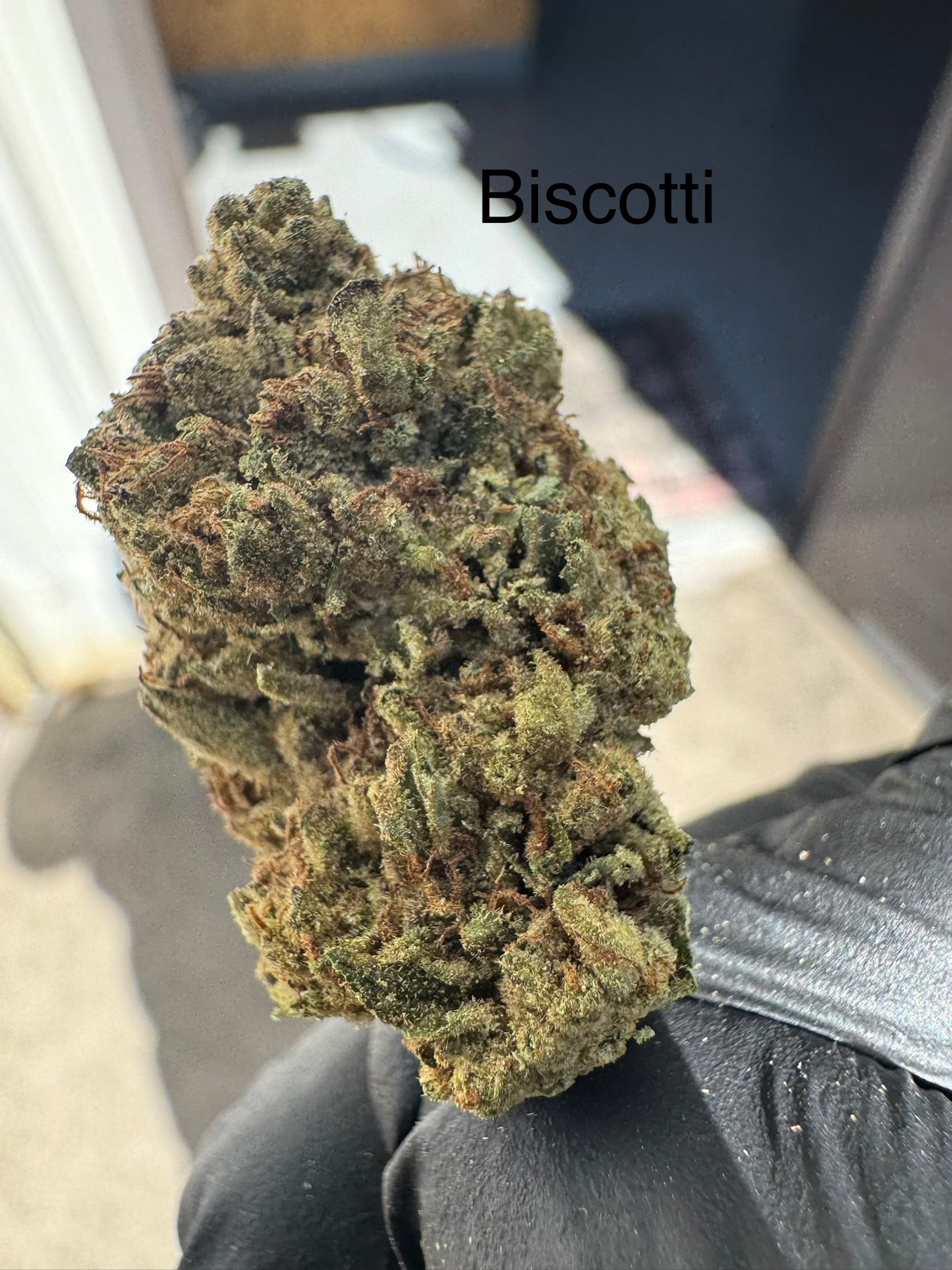 Biscotti Exotic Hemp Flower by the QP