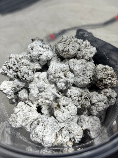 Snow Caps Ultra premium hemp Flowers by the QP
