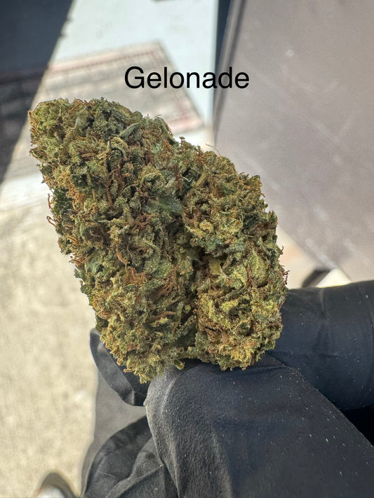 Gelonade Premium Hemp Flower by the QP