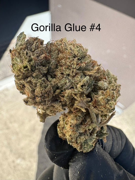 GG#4 sticky Hemp Flower by the QP