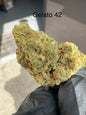 Fresh Harvest Gelato Hemp flower by the QP