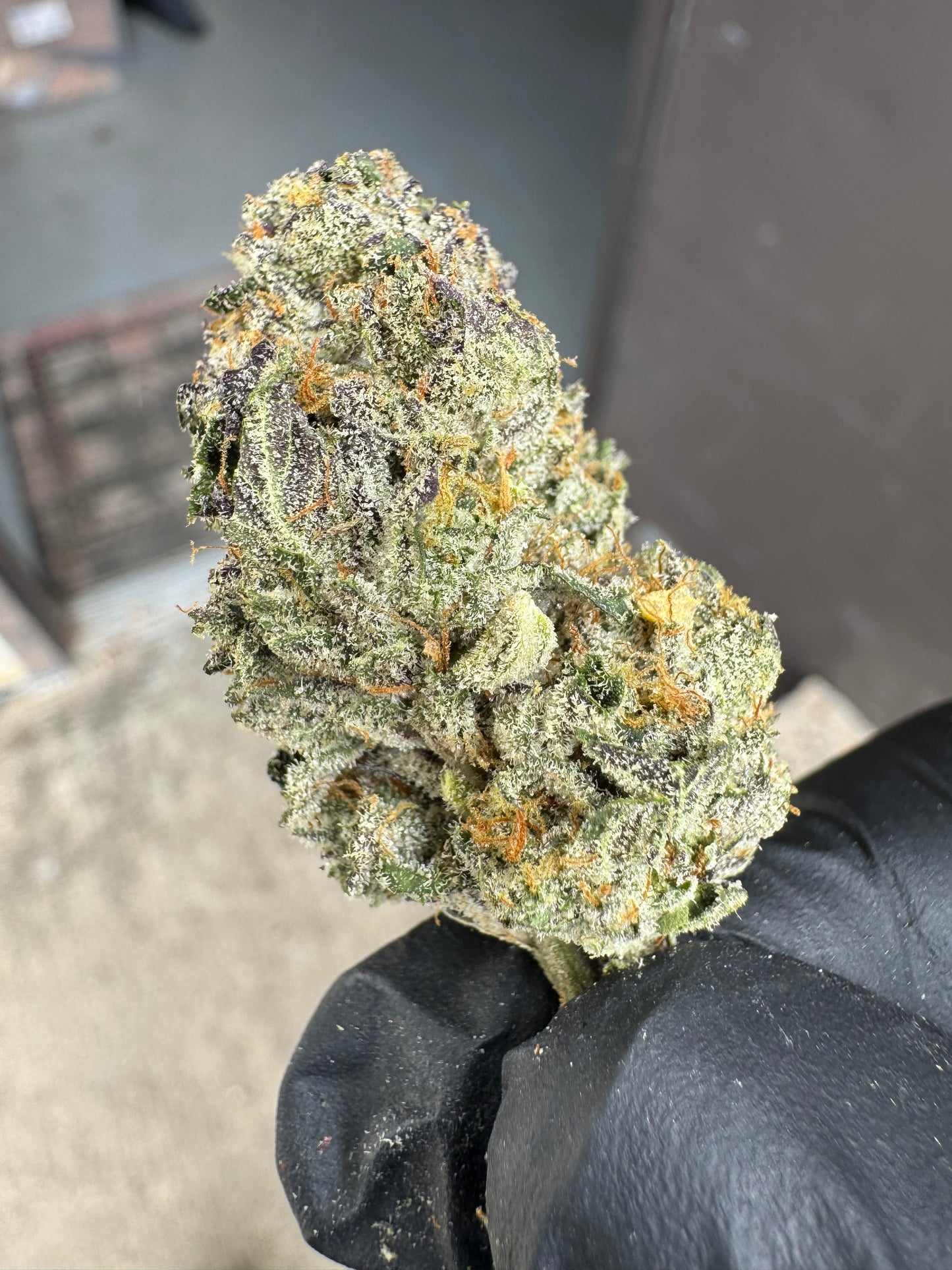 Grape Ape Exotic Top Shelf hemp Flower by the QP