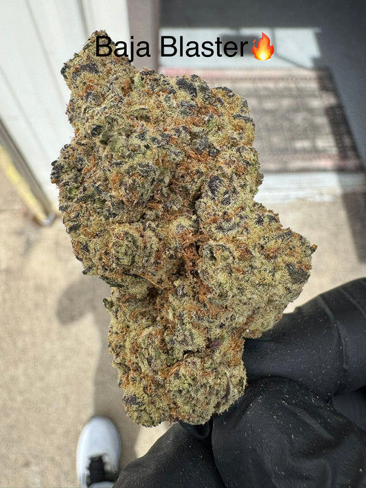 Baja Blaster NEW Exotic Hemp Flower by the QP