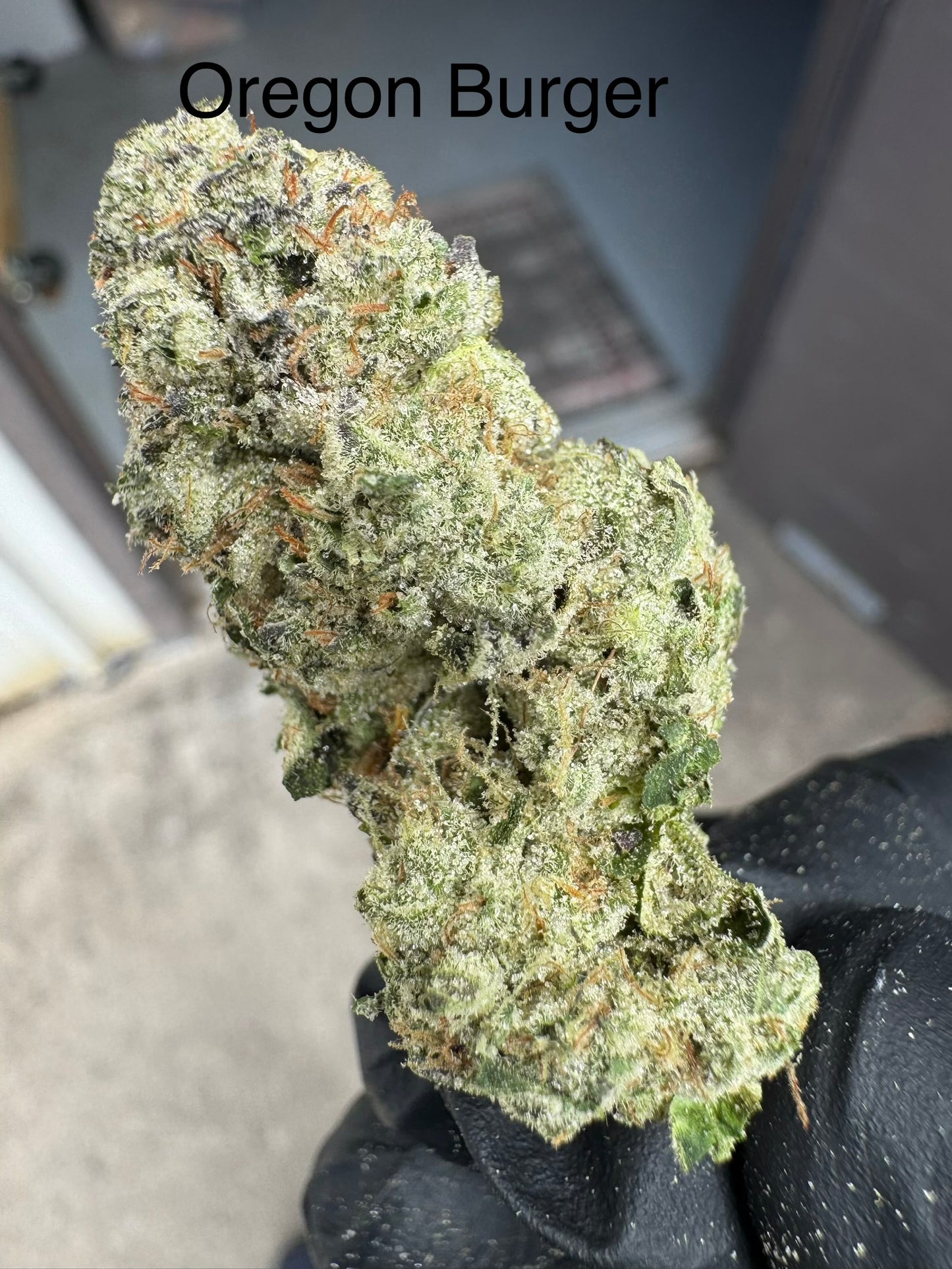 Oregon Burger Super Fire Fresh Exotic Hemp Flower by the QP